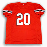 Ed Reed Jersey - Orange - College Style - Unsigned